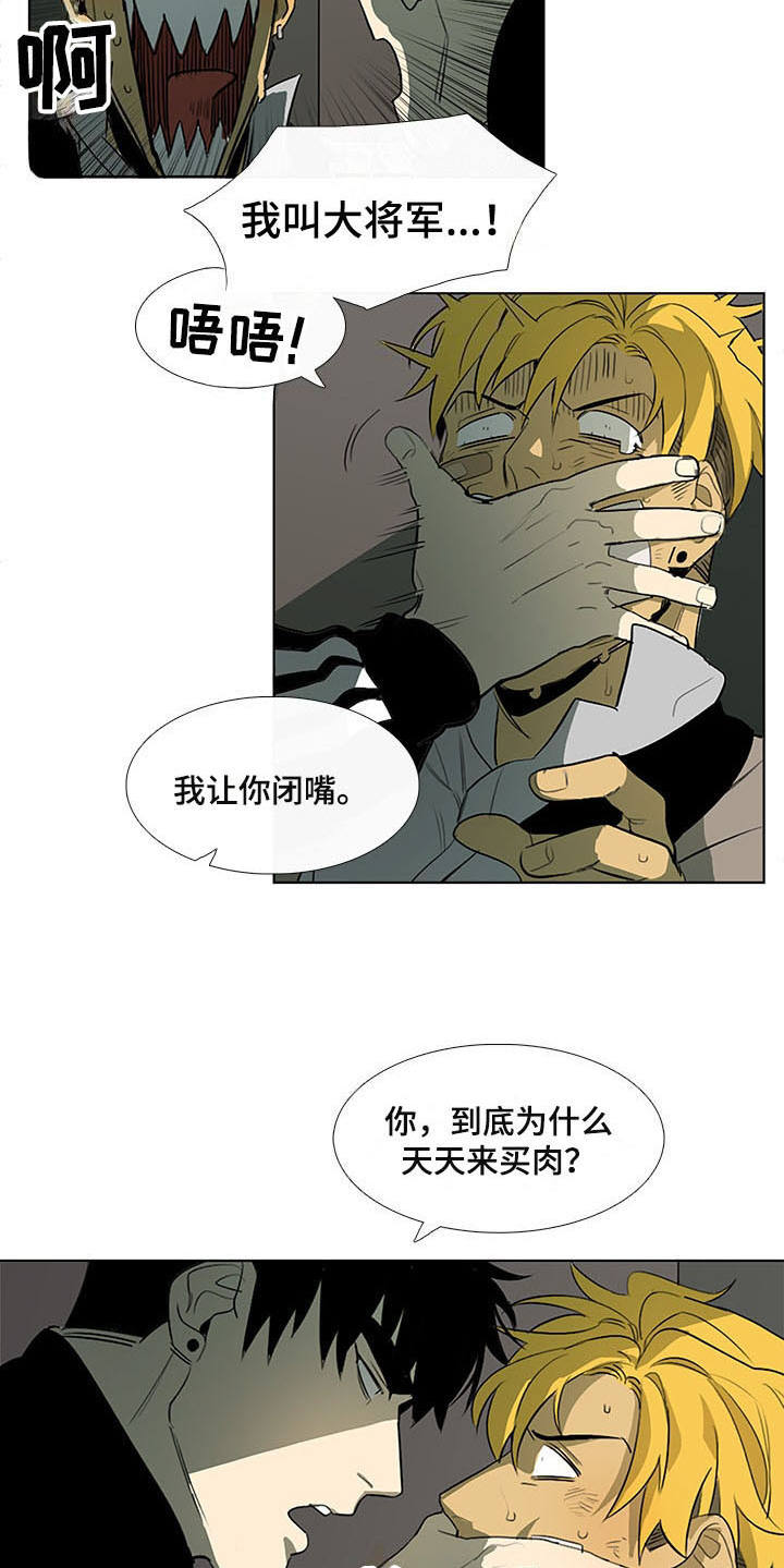 第9章：白毫米15