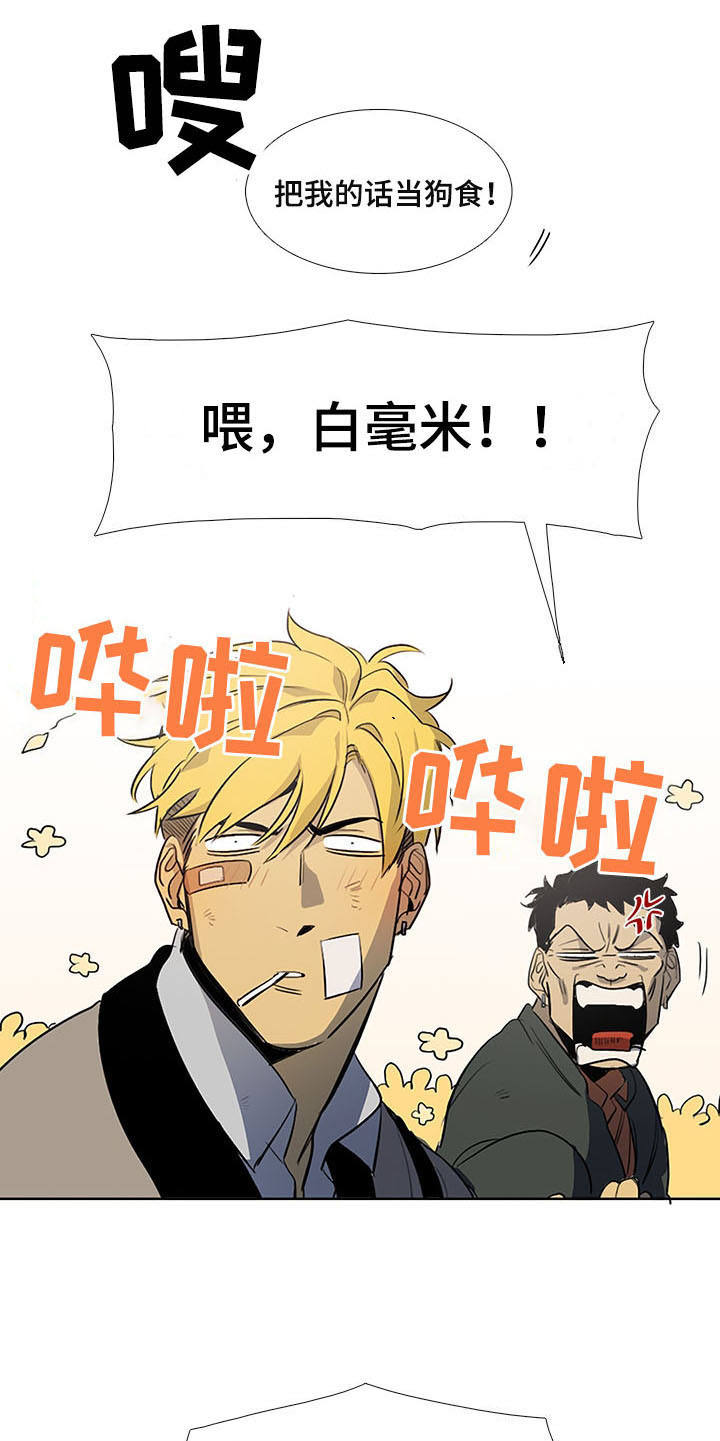 第9章：白毫米4