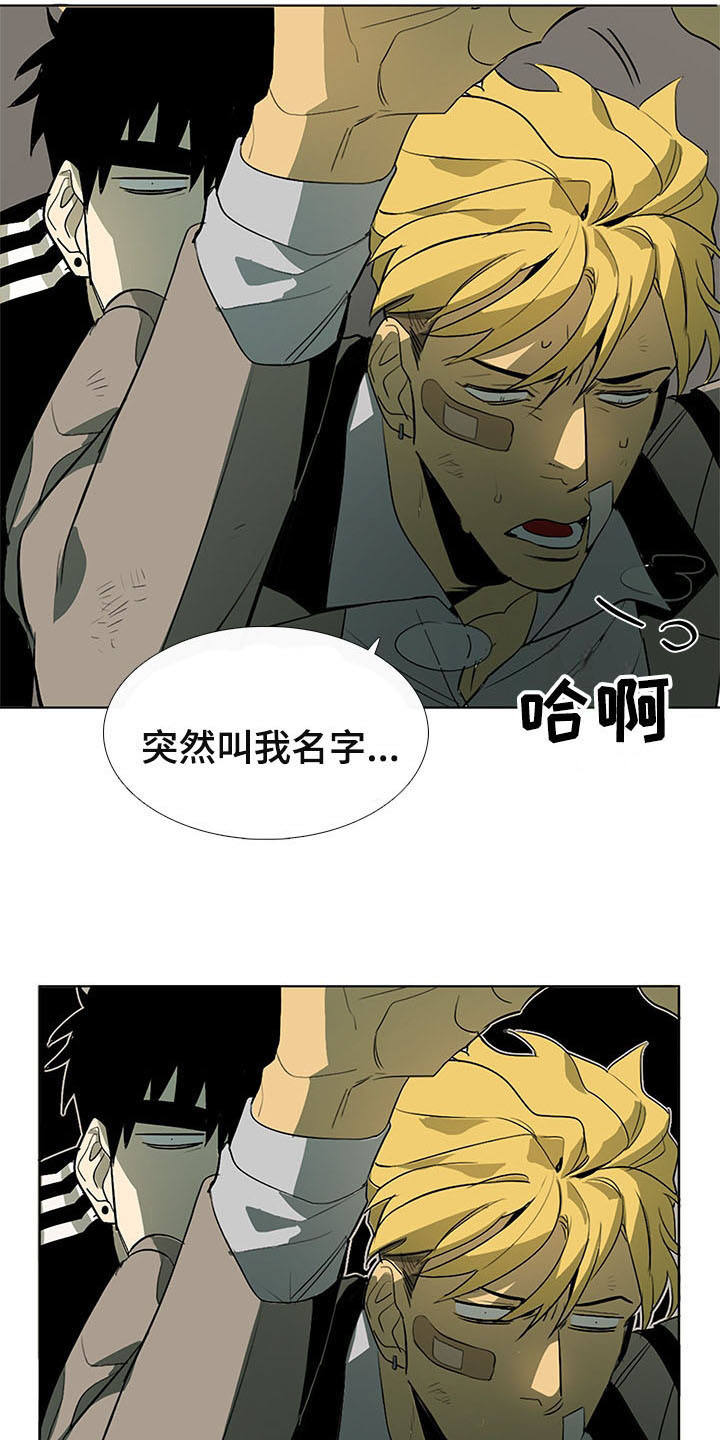 第9章：白毫米13