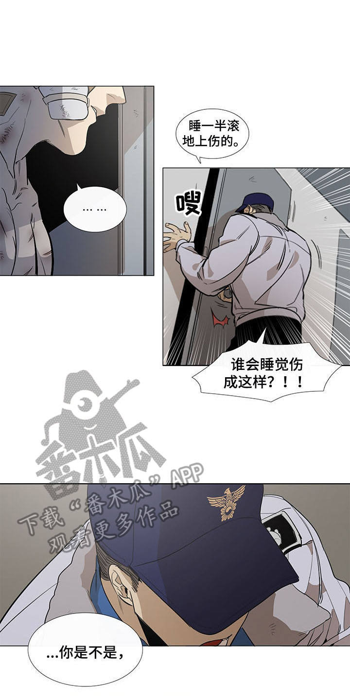 第15章：伤痕累累11