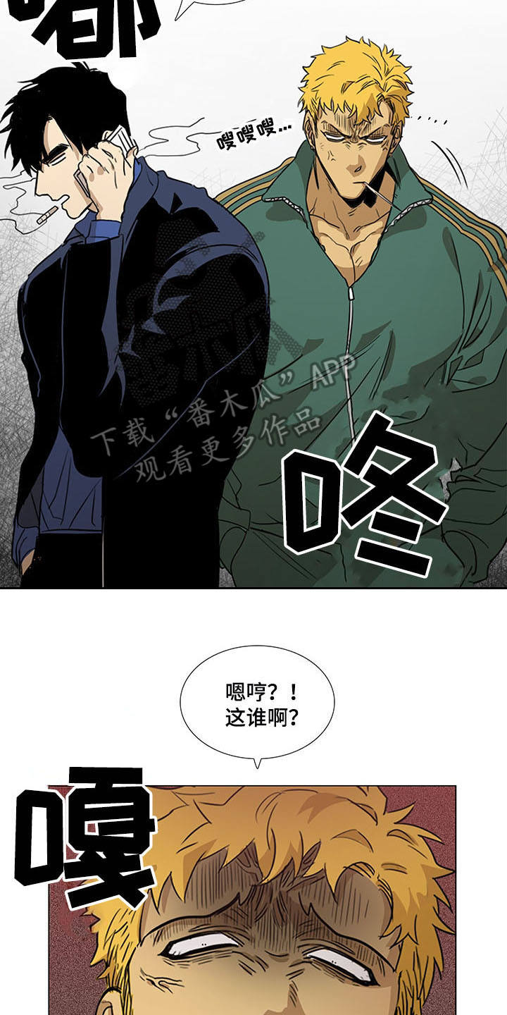 第29章：站稳脚跟6