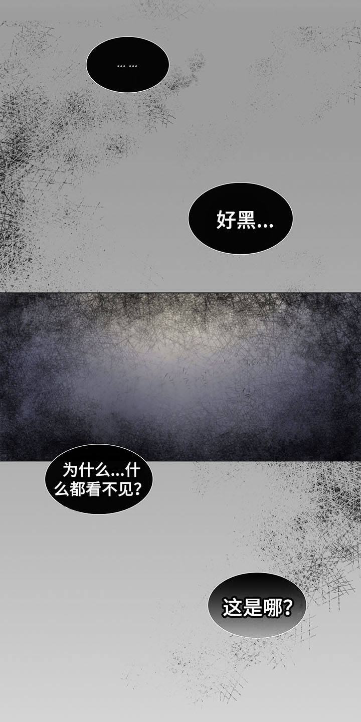 第20章：绑架6