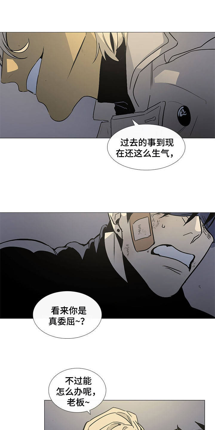 第20章：绑架13