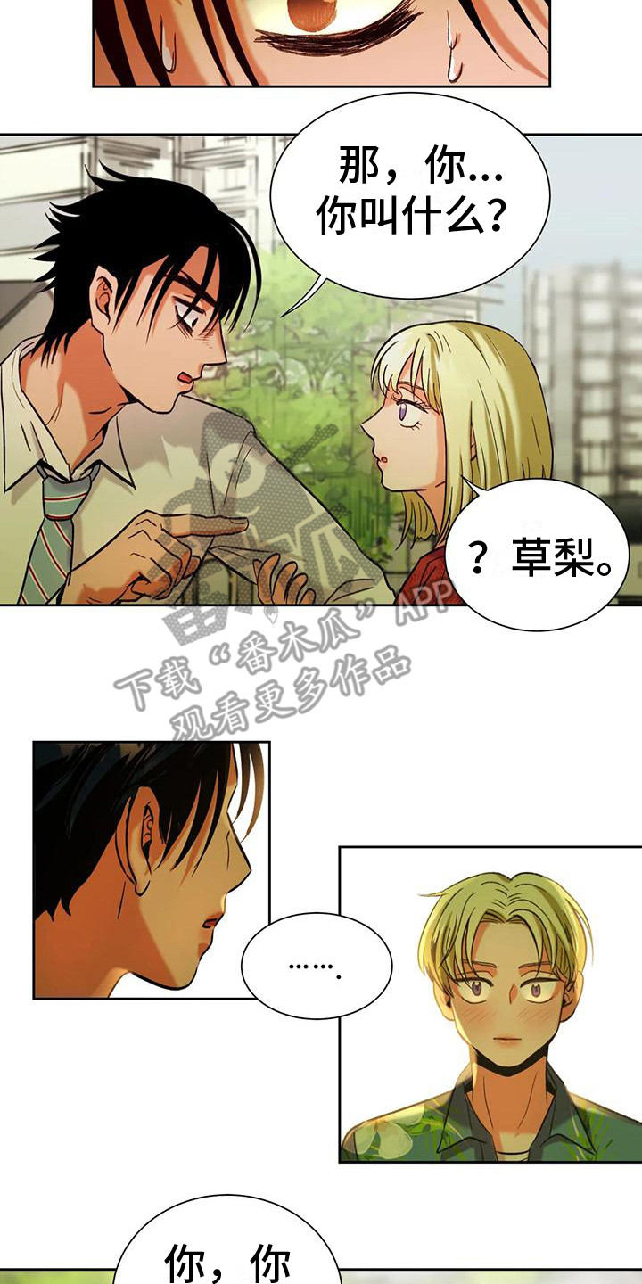 第5章：离谱的状况13