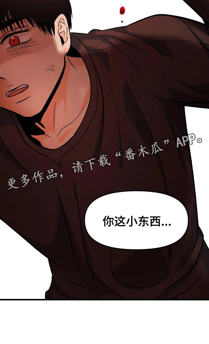 第36章：小东西17