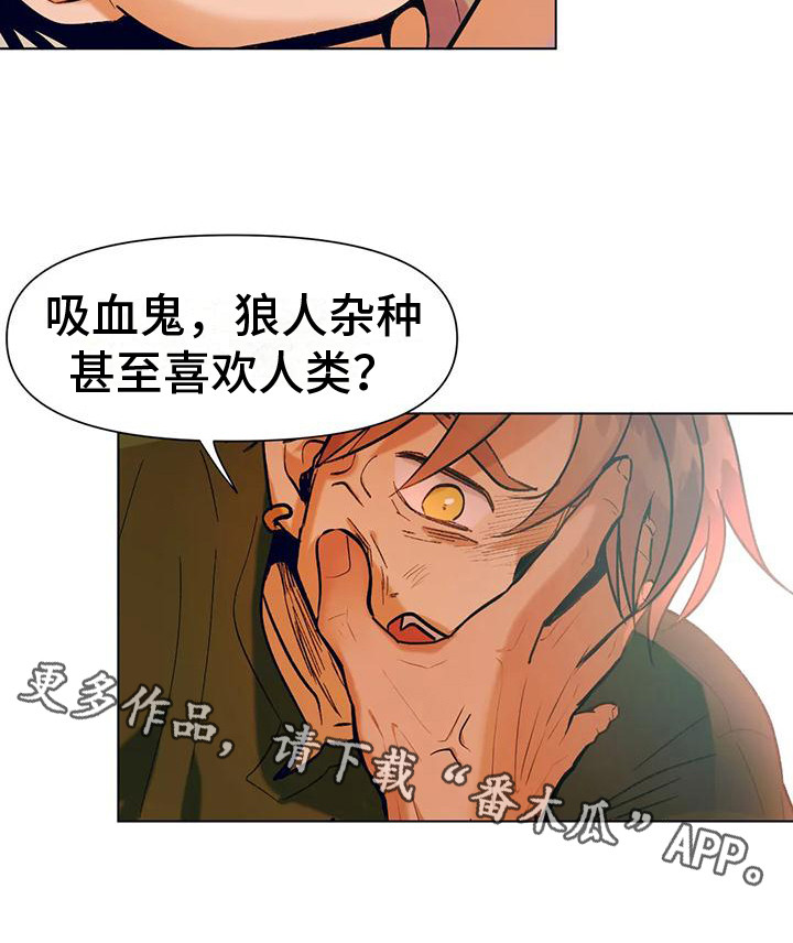 第13章：冲突10