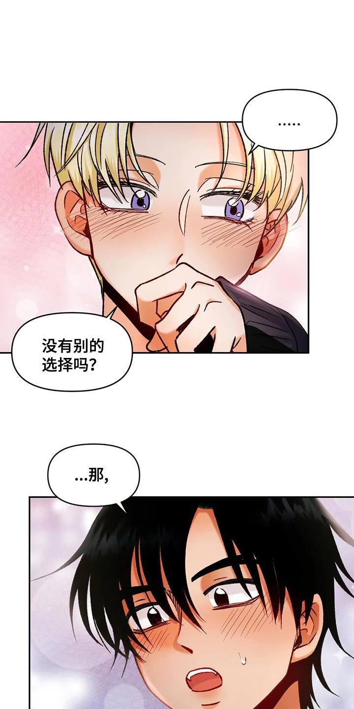 第44章：别的选择11