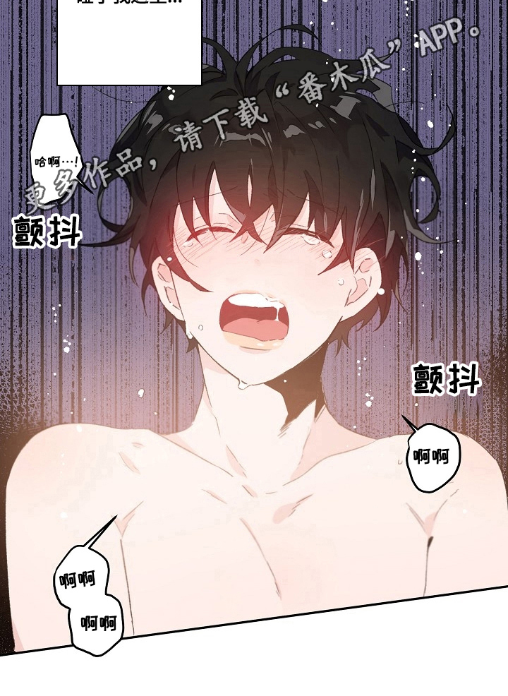 第34章：带回家7