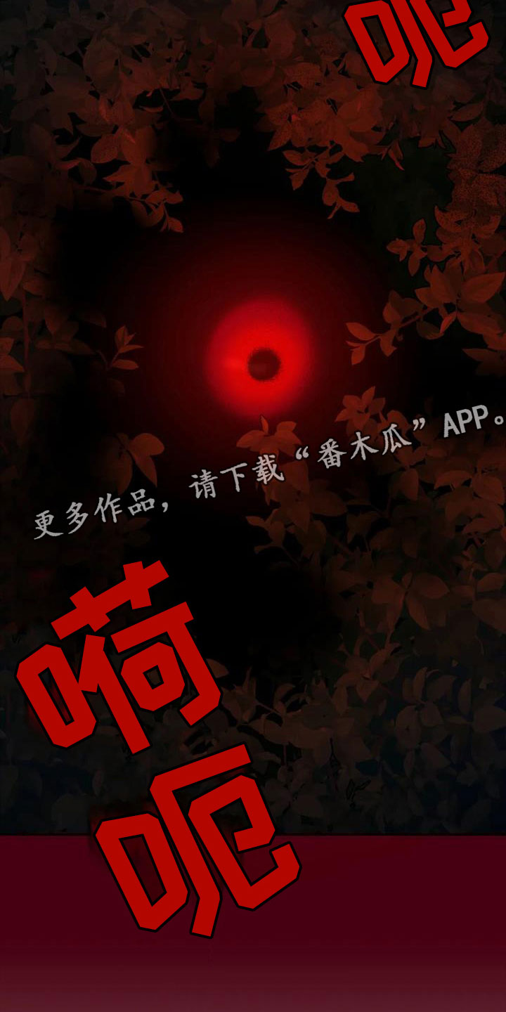 第12章：作战大成功30