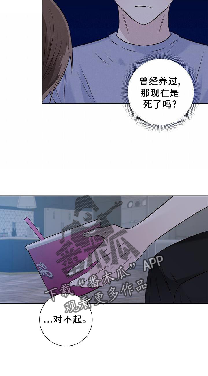第67章：接吻3