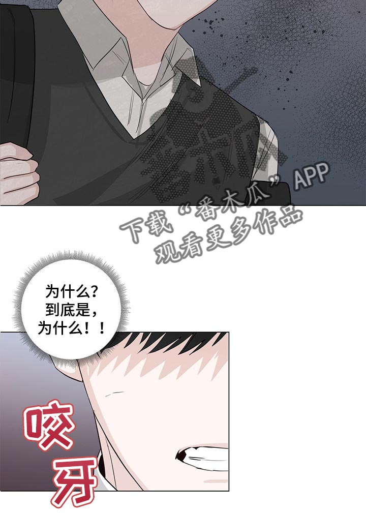 第25章：表白13