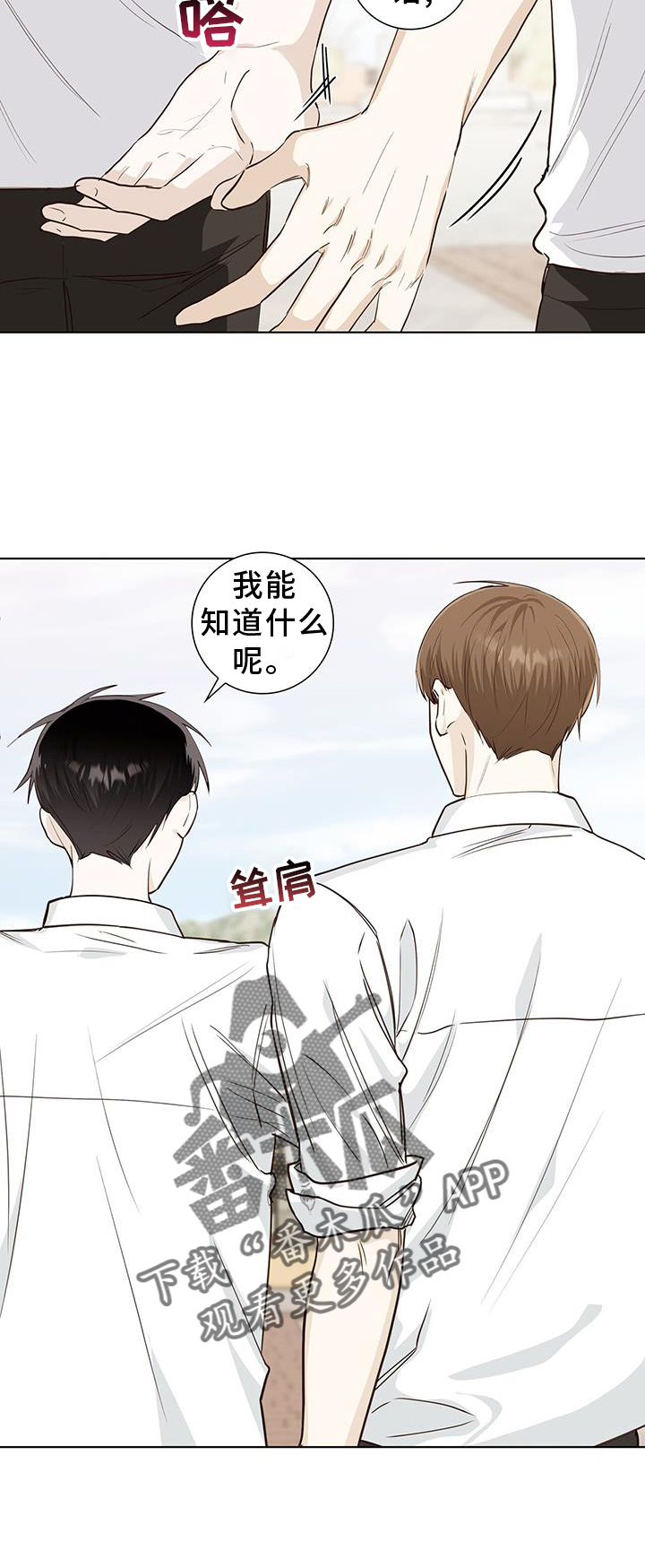 第95章：事实3