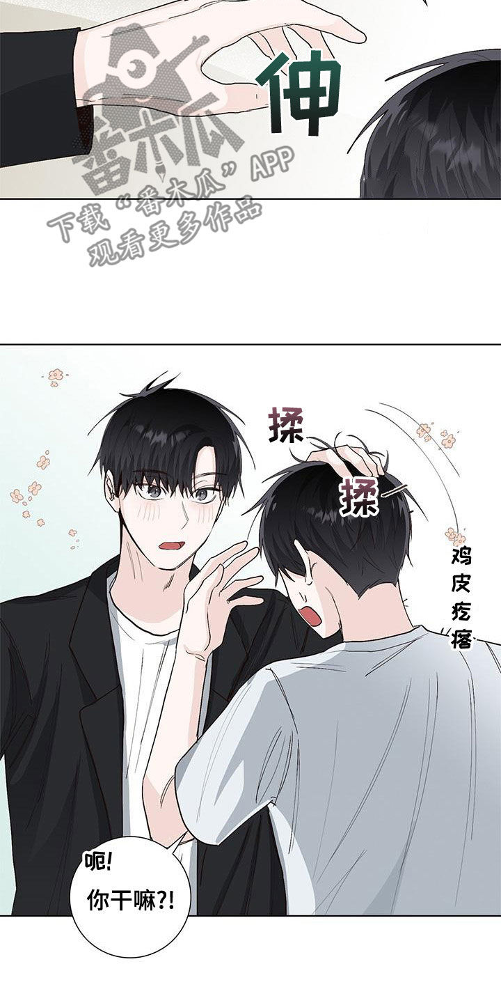 第50章：互相道歉19