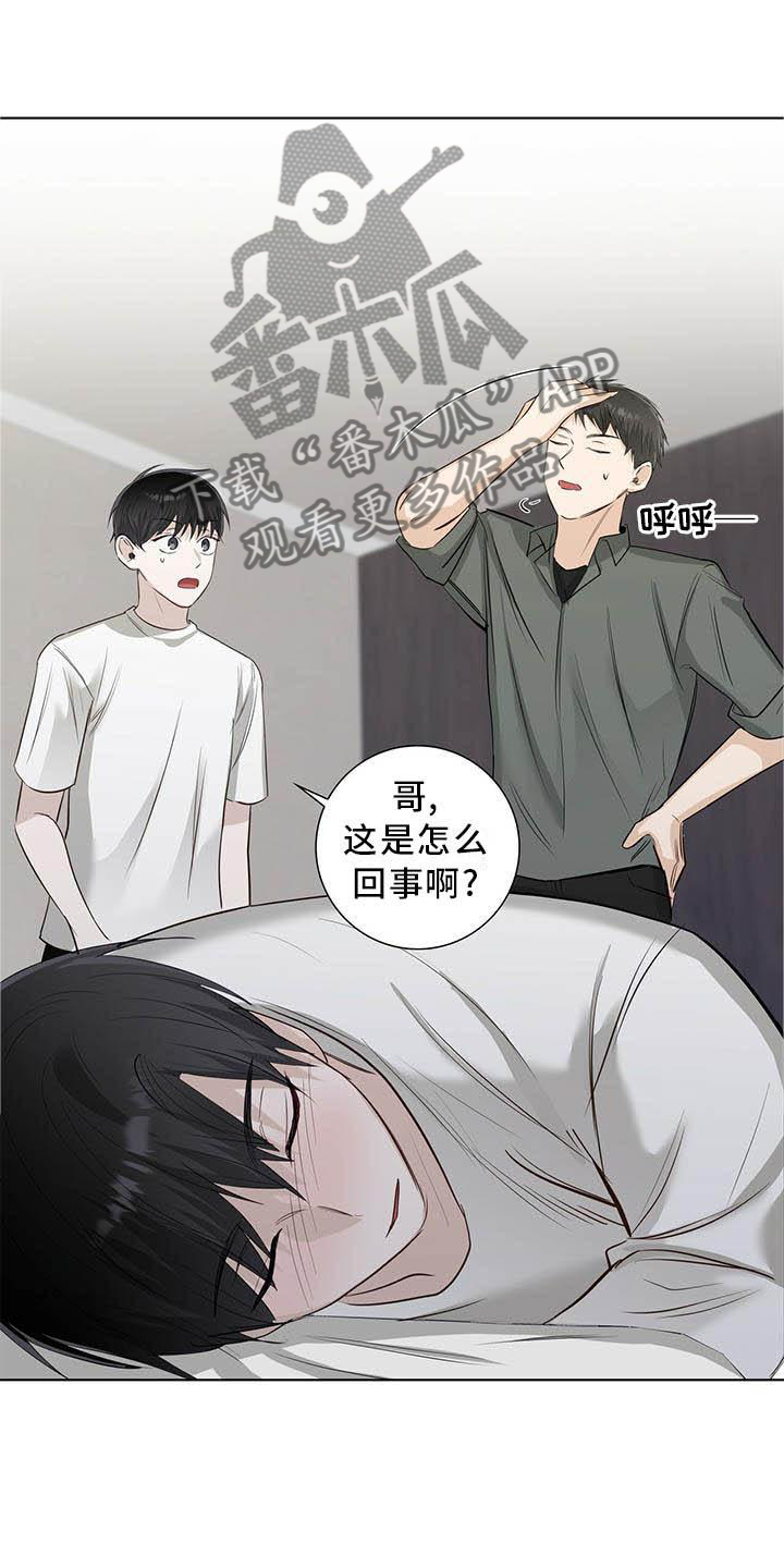第37章：明显11