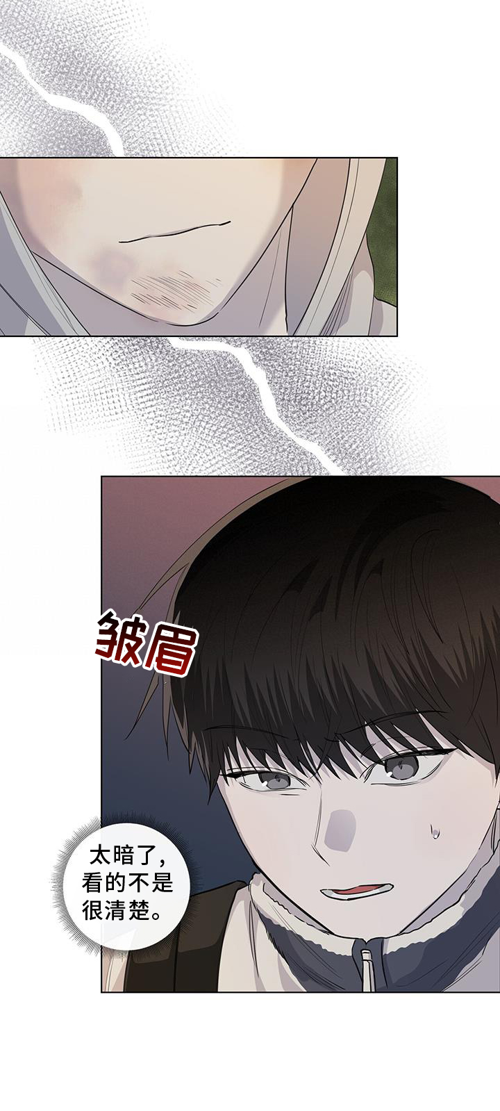 第96章：受伤20