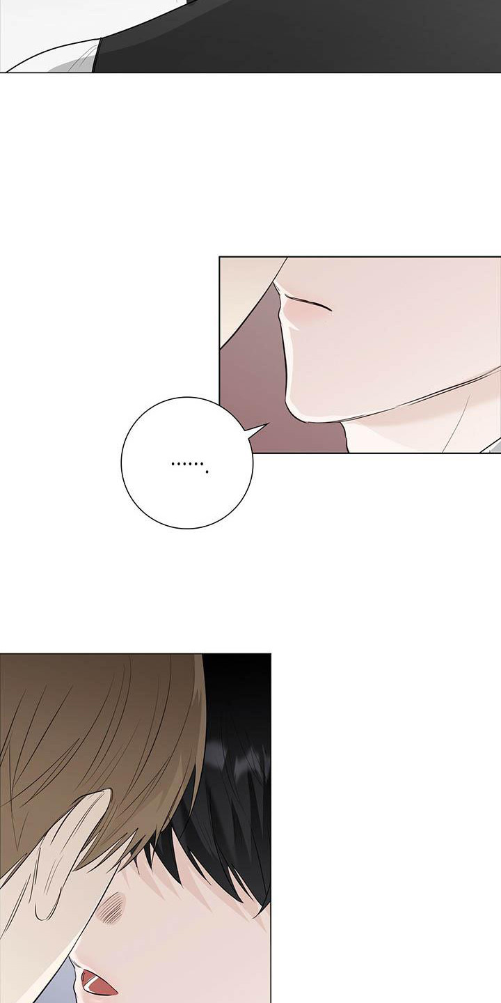 第19章：顺水推舟17