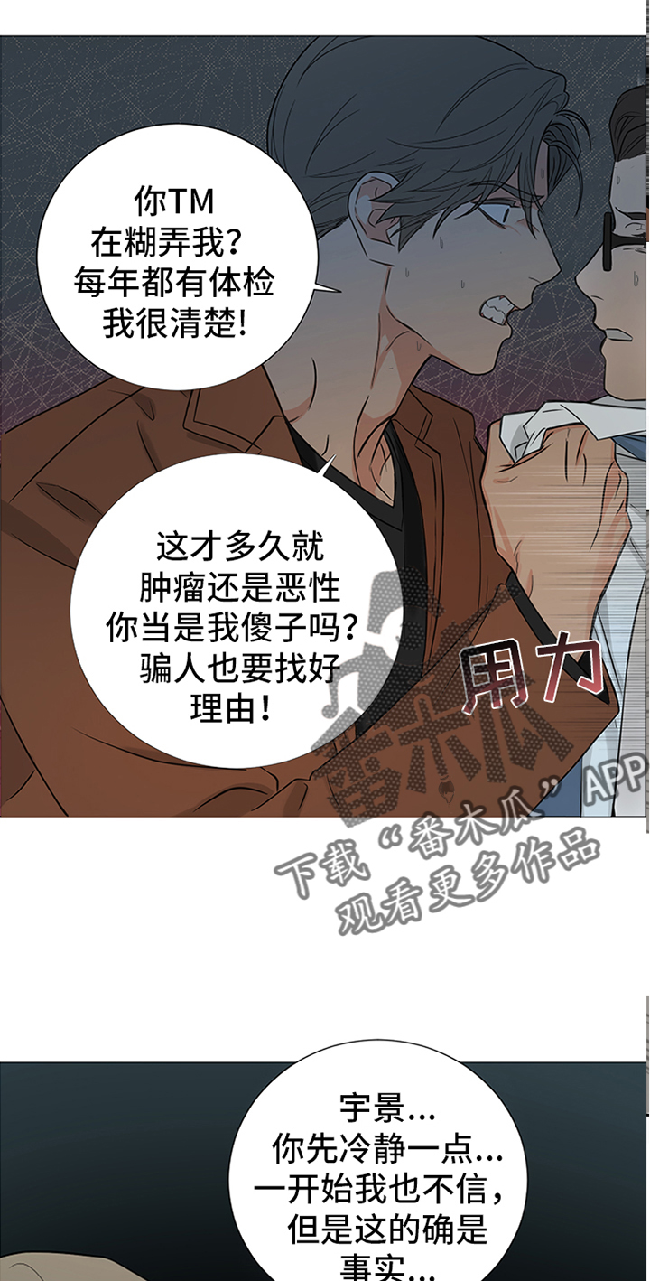 第88章：【暗斗】愿望9