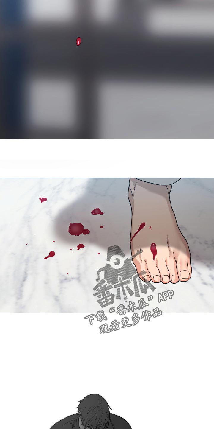 第39章：你还真是自大15