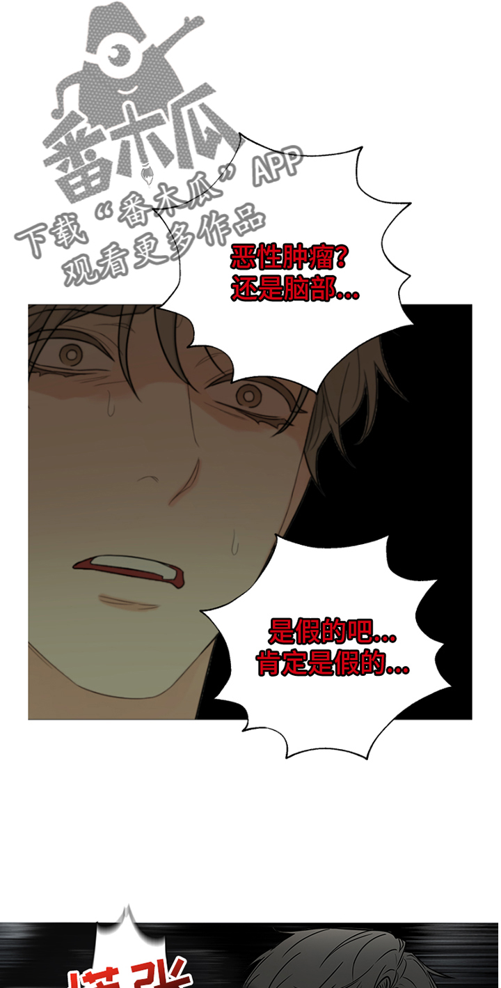 第88章：【暗斗】愿望7