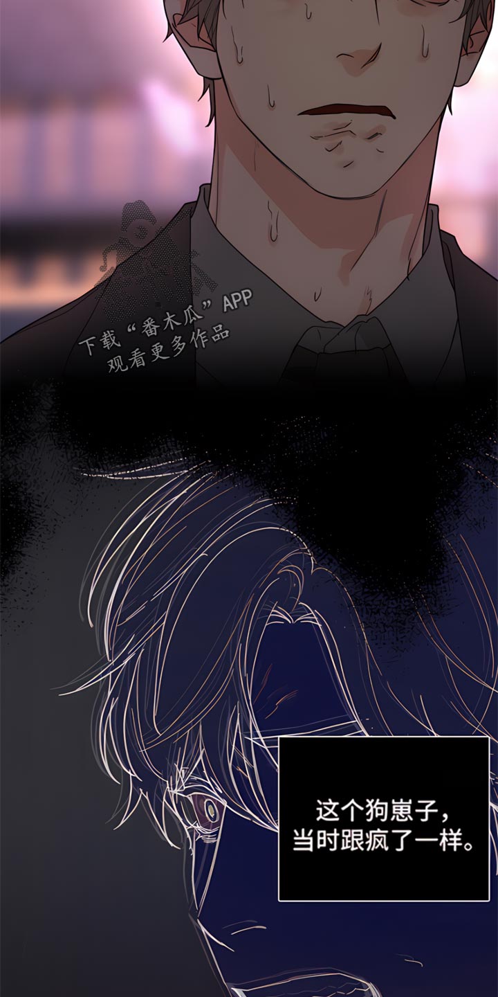 第85章：【暗斗】阴谋的酝酿7