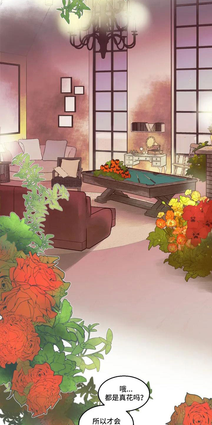 第2章：找到酒店11