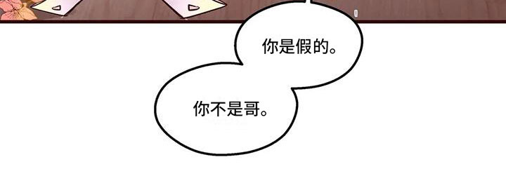 第15章：你是假的12