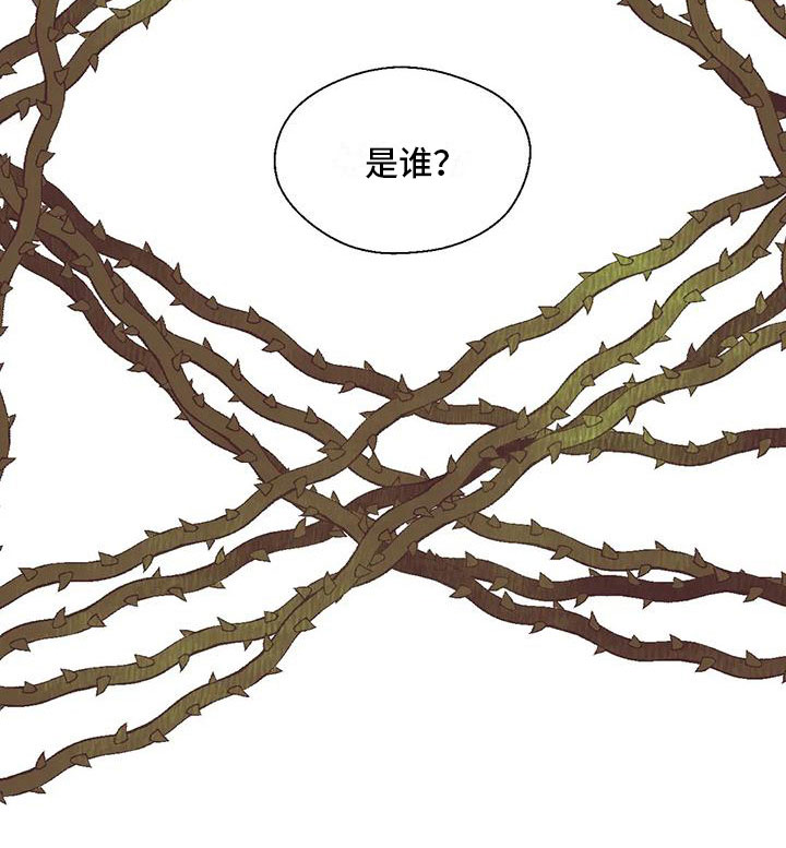 第14章：谁是假的？13
