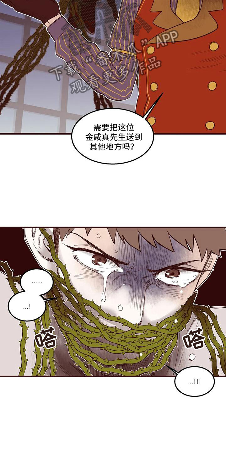 第31章：他的计划10