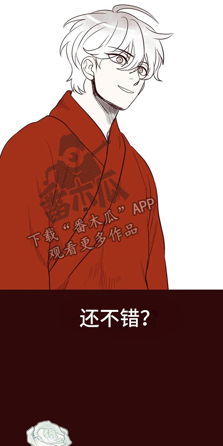 第48章：我的天堂13