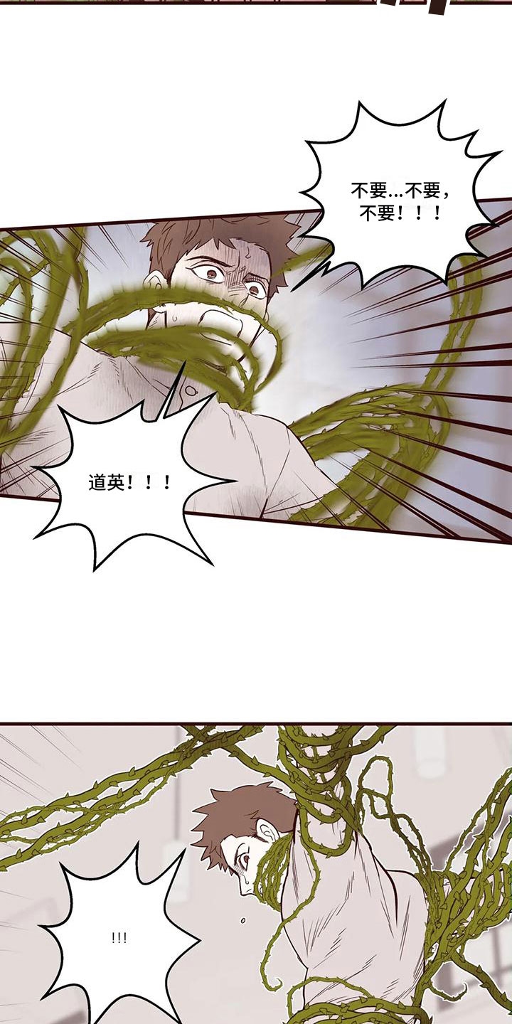 第31章：他的计划5