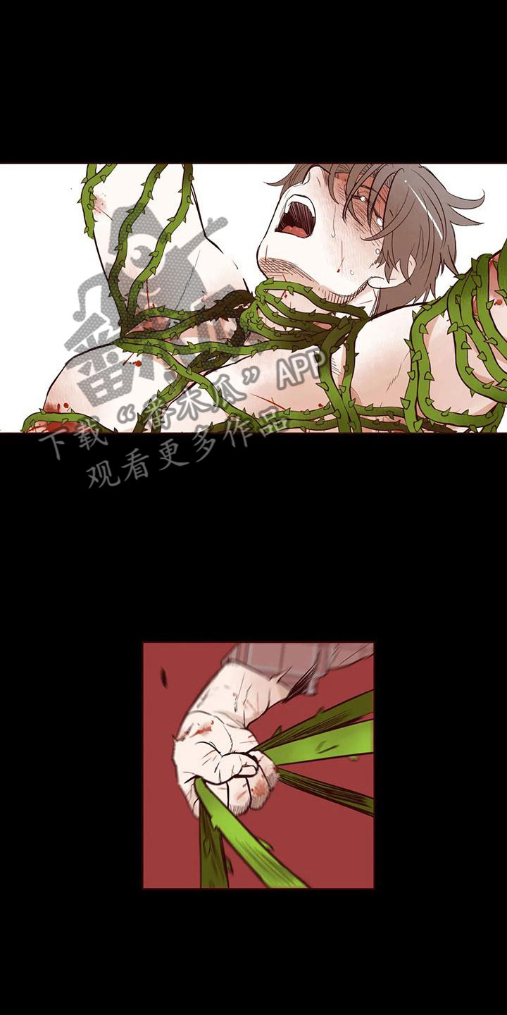 第16章：下场12