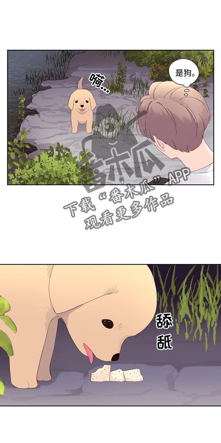 第145章：【第二季】没有项圈的狗9