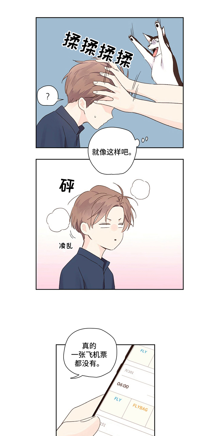 第87章：别墅11