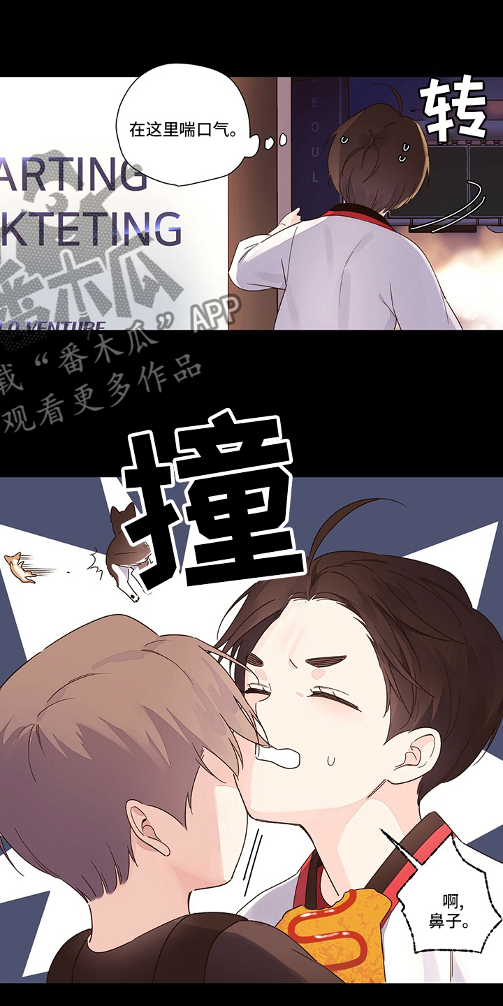 第76章：【特别篇】齐瓦瓦狗2