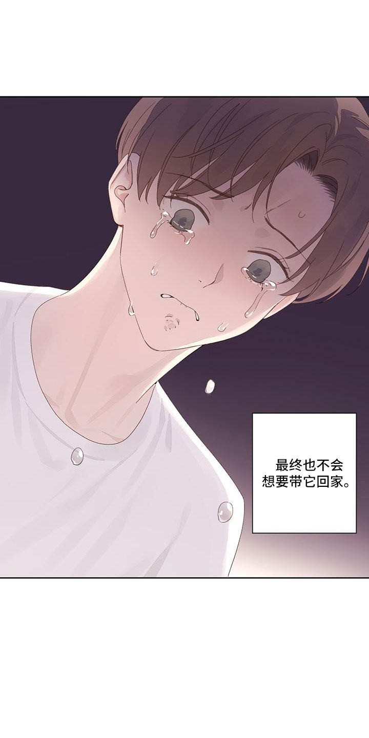 第145章：【第二季】没有项圈的狗13