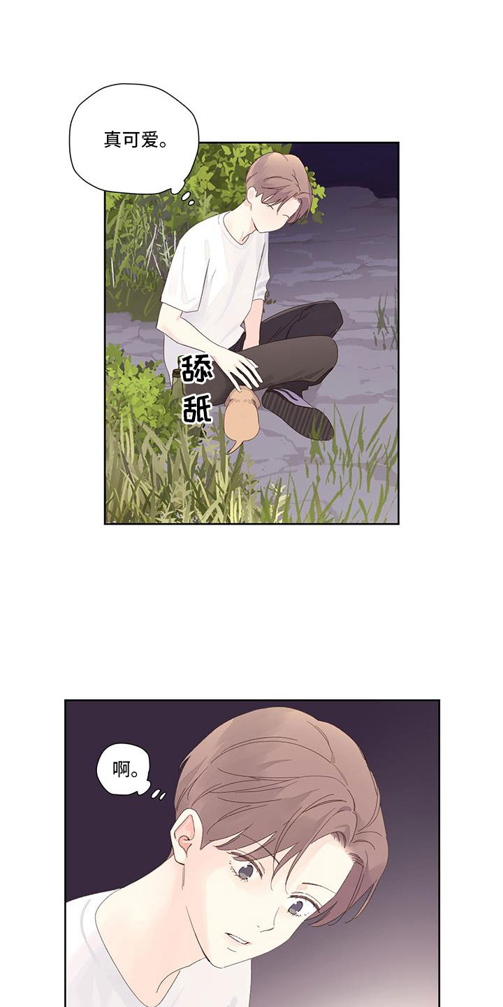 第145章：【第二季】没有项圈的狗10