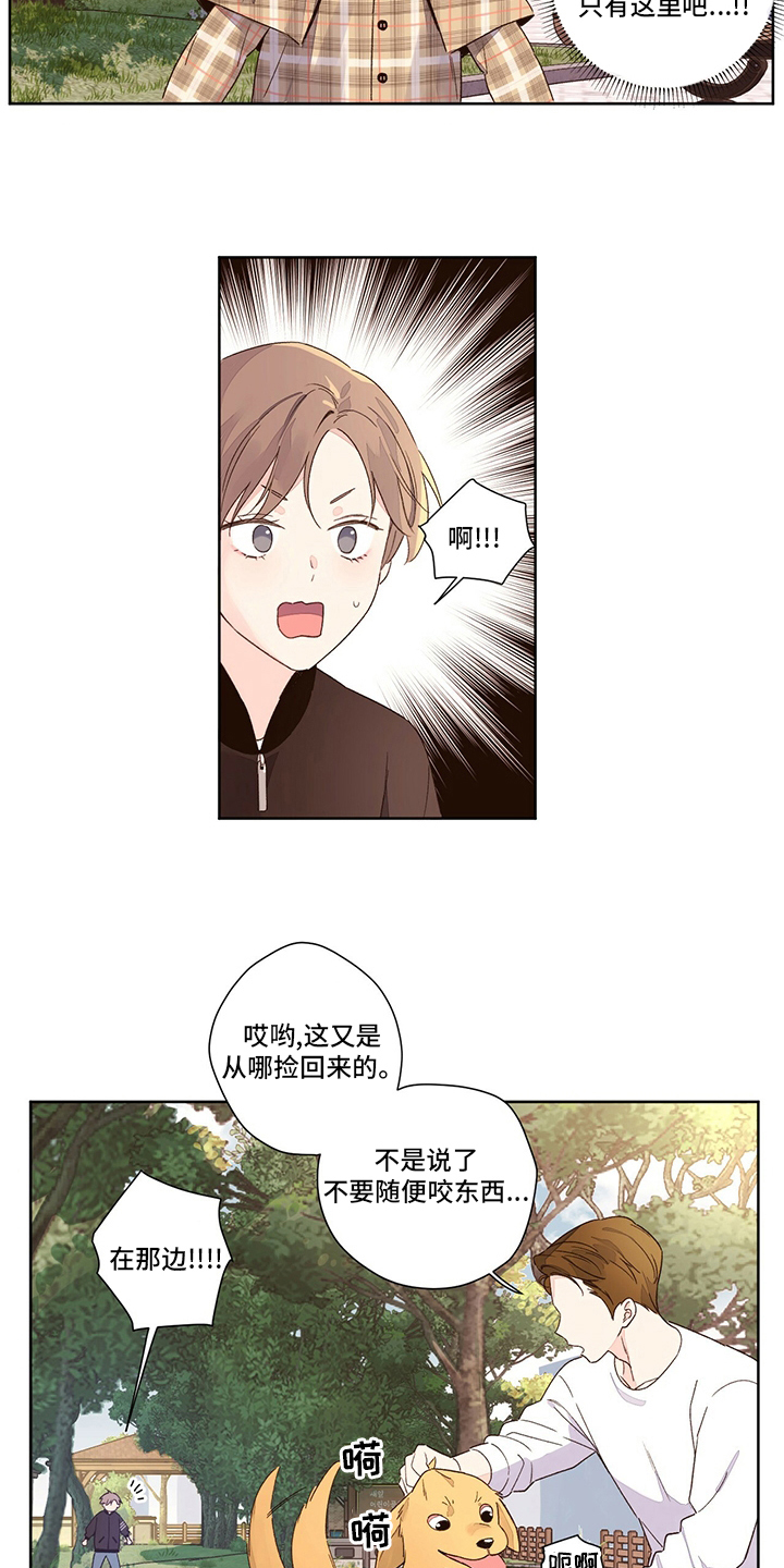 第78章：【特别篇】变回来了5