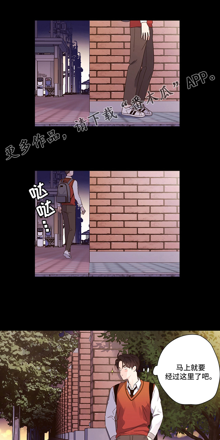 第84章：软柿子0