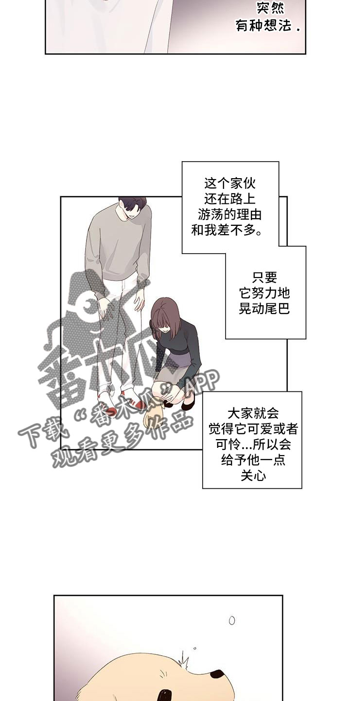 第145章：【第二季】没有项圈的狗11