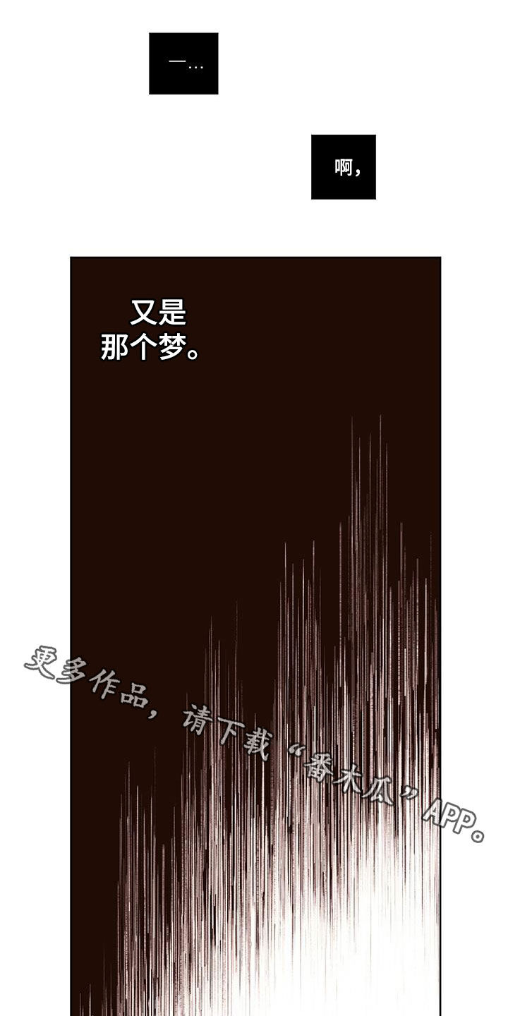 第135章：【第二季】又是那个梦13