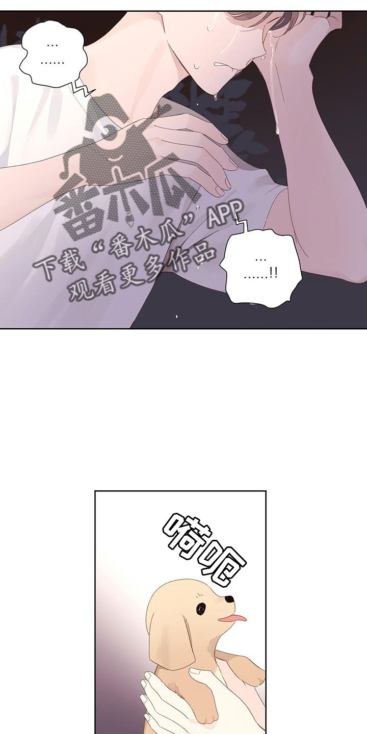 第145章：【第二季】没有项圈的狗14