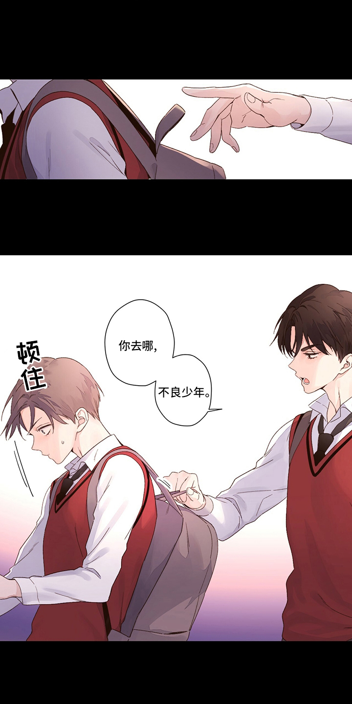 第84章：软柿子2