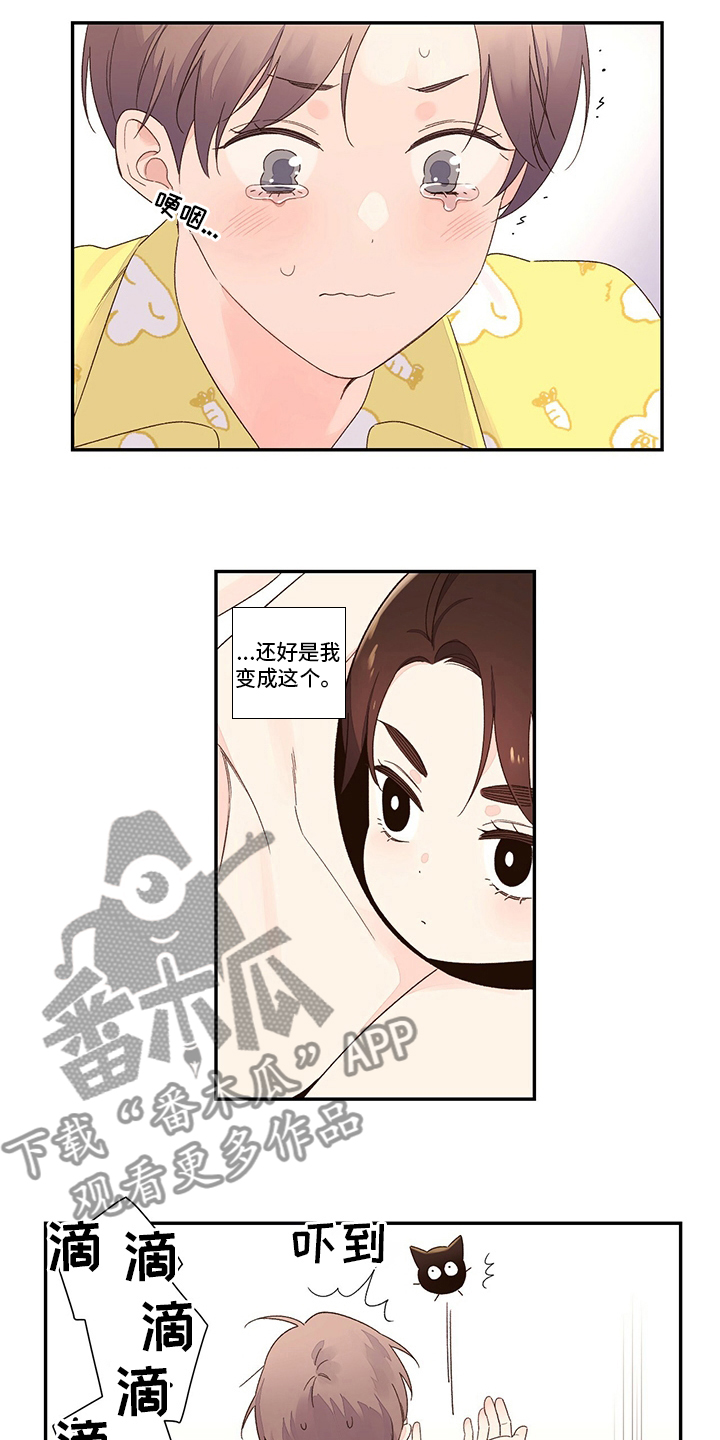 第75章：【特别篇】玩偶4