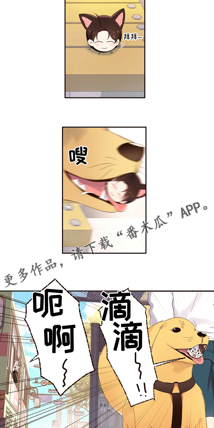 第75章：【特别篇】玩偶12
