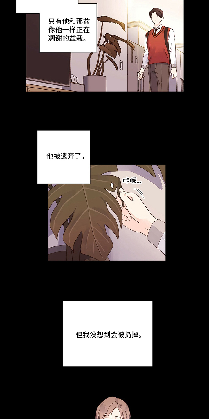 第84章：软柿子14