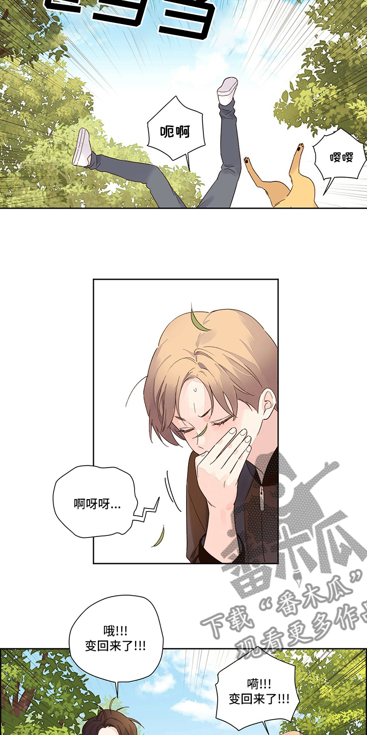 第78章：【特别篇】变回来了8