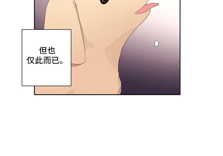 第145章：【第二季】没有项圈的狗12