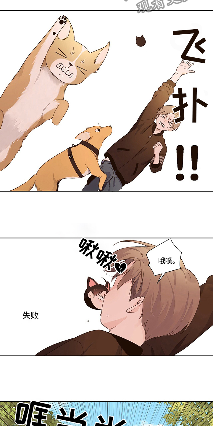 第78章：【特别篇】变回来了7