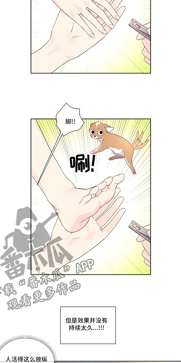 第87章：别墅1