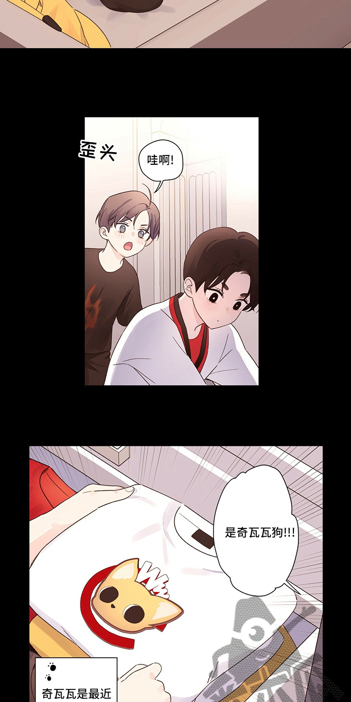 第76章：【特别篇】齐瓦瓦狗7